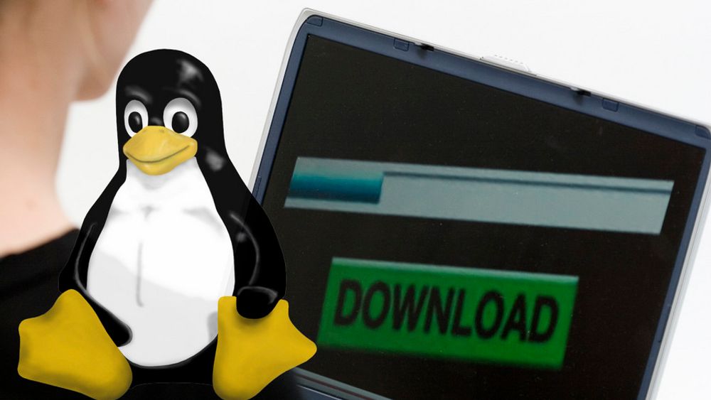 Tryggere: Miljøpartiet De Grønne mener Linux i politiets datasystemer vil redusere sannsynlighten for angrep.