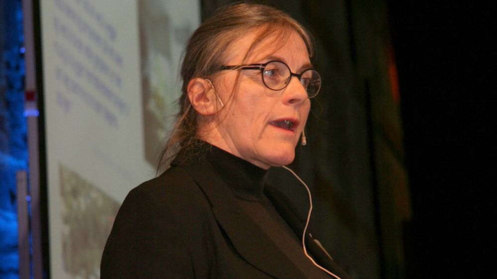 KRITISK: Professor Anne Grete Hestnes er kritisk til å pøse på med tekniske dingser uten å tenke helhet. - Ingeniører og arkitekter må bli flinkere til å arbeide sammen fra starten, sier hun.