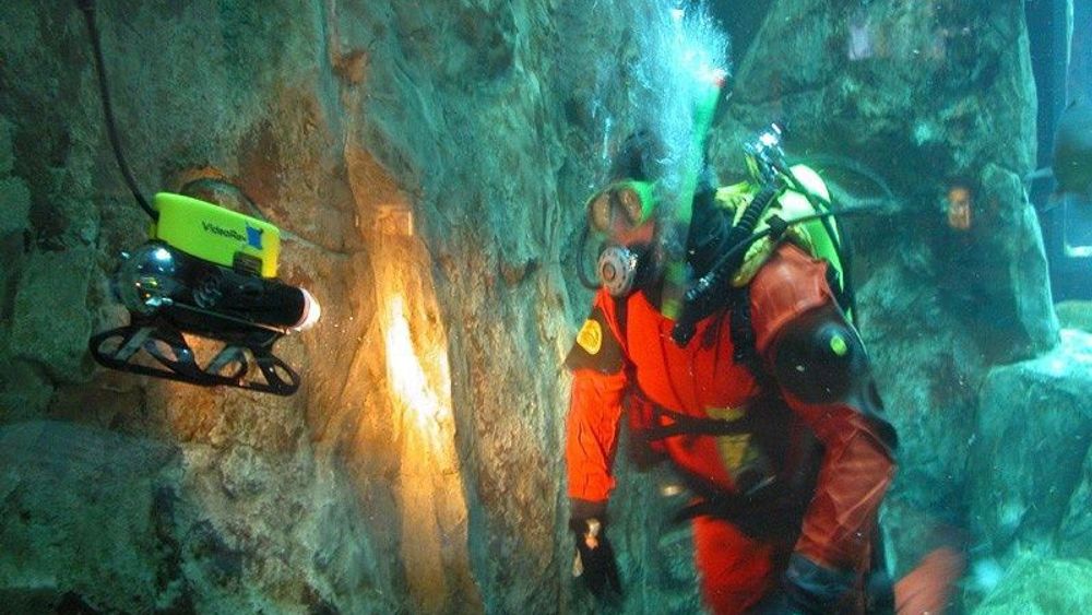 SAMSPILLROV og dykker i samspill. FOTO: VIDEORAY
