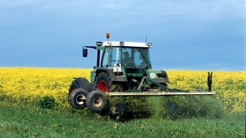 NY FABRIKK: Statoil skal produsere biodiesel i Lituauen, basert på vegetabilsk olje. Råvarene vil komme fra Baltikum, Ukraina, Hviterussland og Russland.