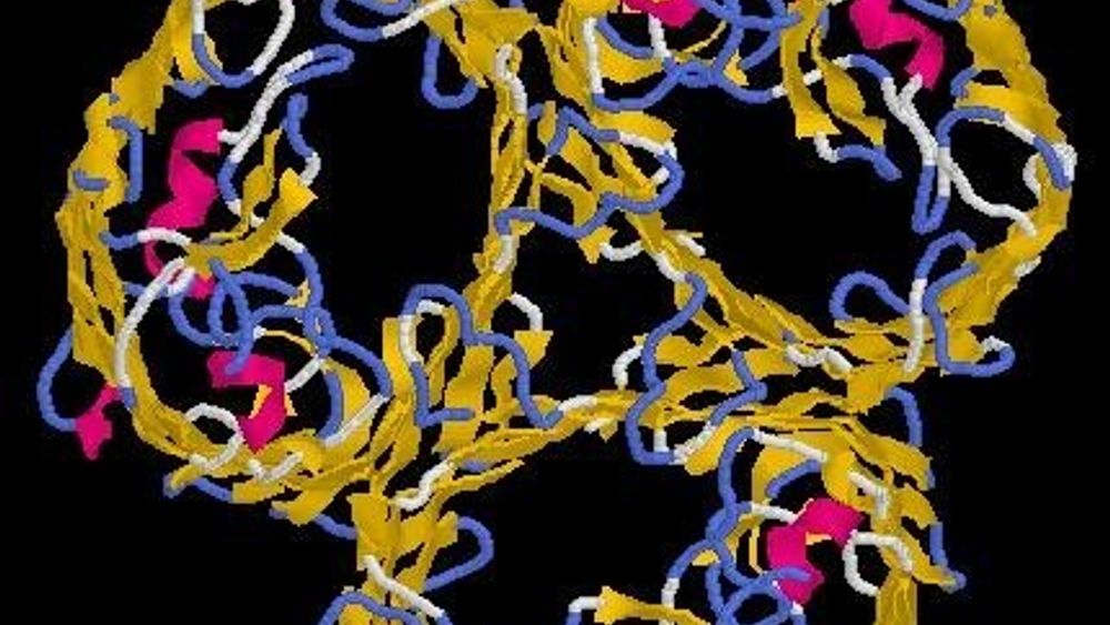 Nanoforskerne ser behov for å bygge et system som kan flerfoldiggjøre og isolere RNA eller DNA, system som oppdager sykdommer "in vivo", og teknikker for å produsere strenger av ønskede proteiner.