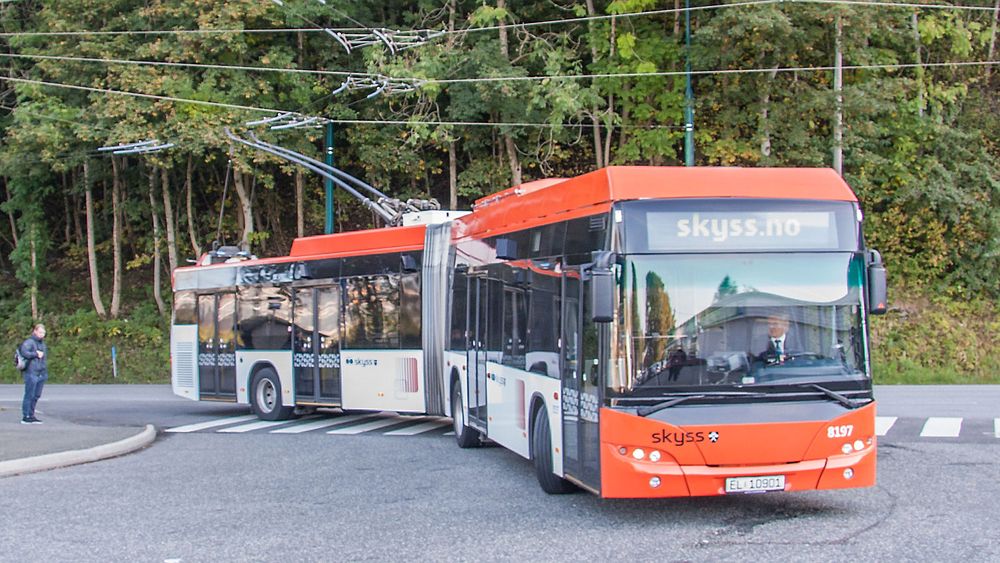 Bergens seks trolleybusser ble kjøpt inn i 2003, og er av typen MAN Neoplan N6221 TG. De er 18 meter lange.  