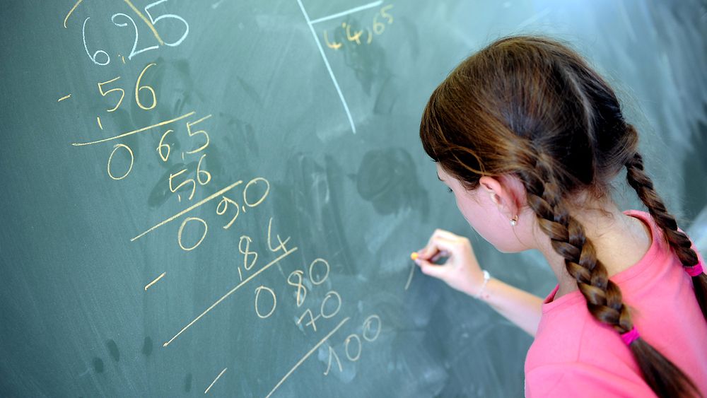 Omkring 15.000 mattelærere i grunnskolen mangler mattekompetanse for å oppfylle kravene til å undervise i mattematikk. Dermed er det stort behov for de ekstra 350 realfagslærerne som vil bli utdannet gjennom de nyopprettede studieplassene i PPU. 