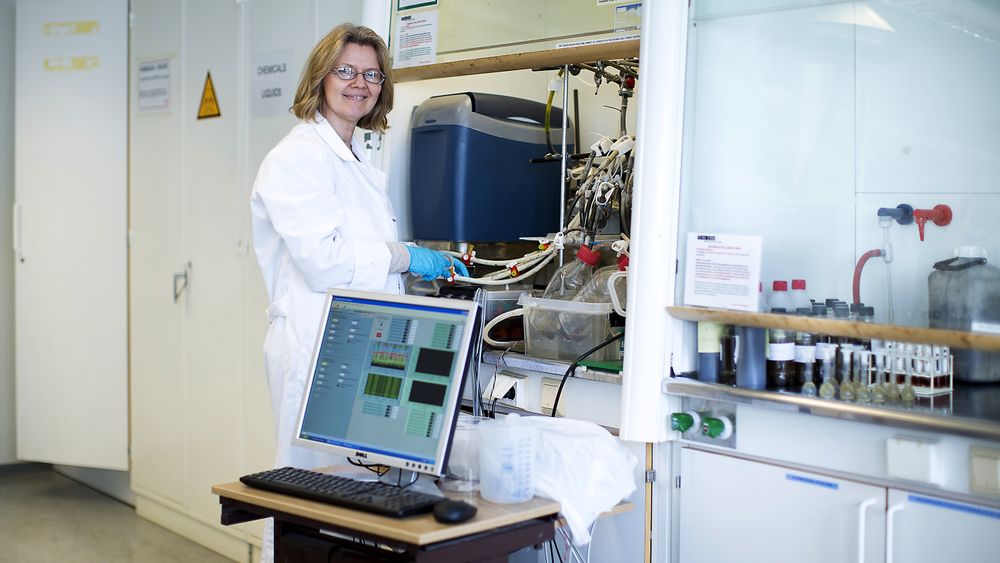 Wenche Hennie Bergland har satt verdensrekord i innmating og omsetningshastighet for biogassproduksjon gjennom sin forskning - her fra  laboratoriet. (Foto: Tine Polle, Høgskolen i Sørøst-Norge)