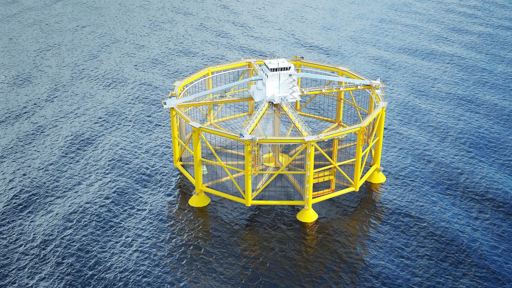Ocean Farmings havmerd er utviklet på basis av mange års erfaring fra offshorenæringen. - Den største utfordringen er vektkontrollen, sier prosjektleder Bernt Ege.