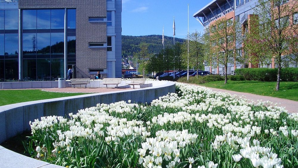 De nye kontorene TIL wsp liggeR på Union Brygge i et bygg som blant annet deles med NRK.