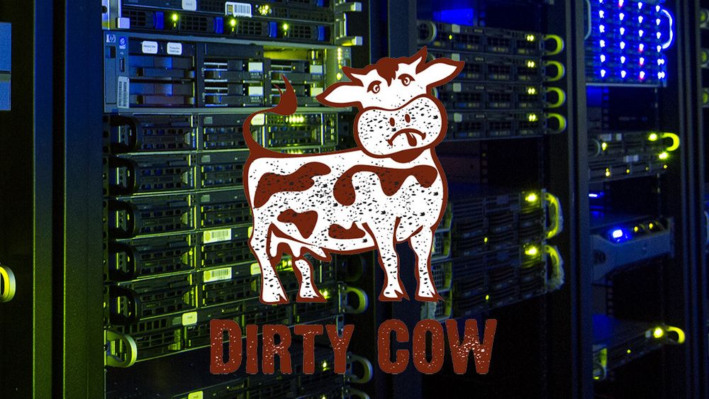 Linux-sårbarheten Dirty Cow berører særlig Linux-servere som deles av flere helt uavhengige brukere.