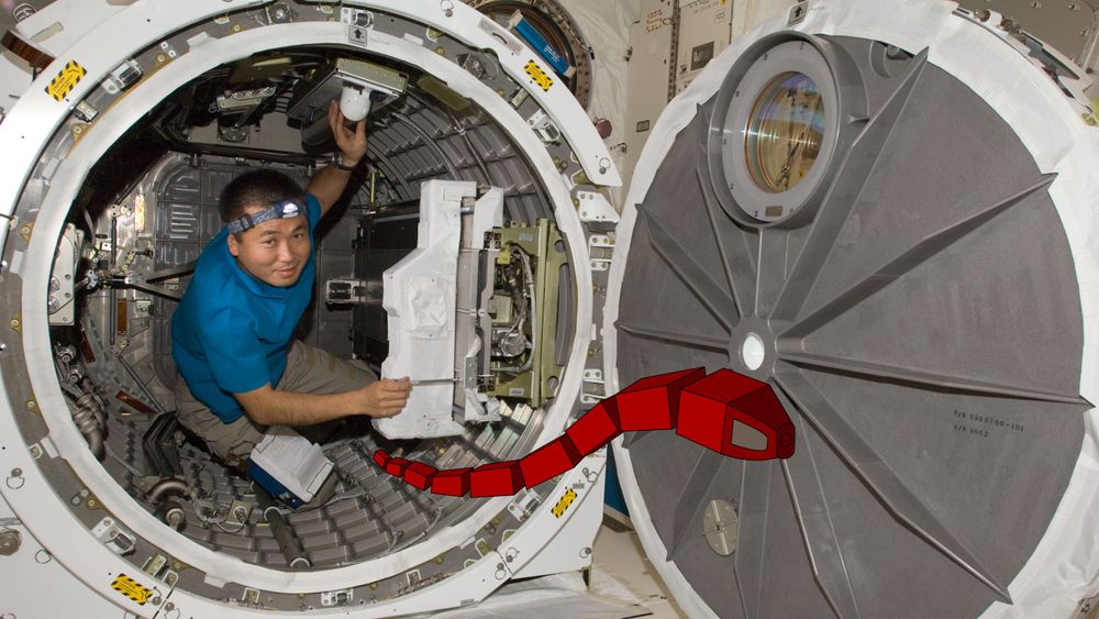 Bildet viser en tenkt slangerobot på romstasjonen ISS - på vei for å inspisere noe for astronauten.
