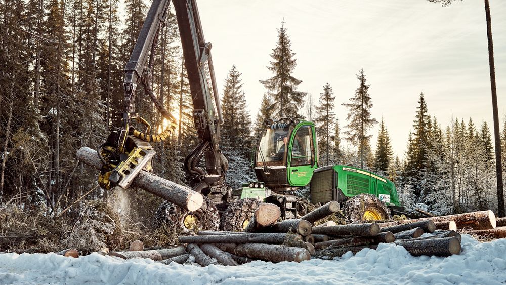 Vi tar ut 10 millioner faste kubikkmeter tømmer fra norske skoger årlig. Et tall man ønsker å øke til 15 millioner. Likevel ligger vi langt bak Sverige og Finland.