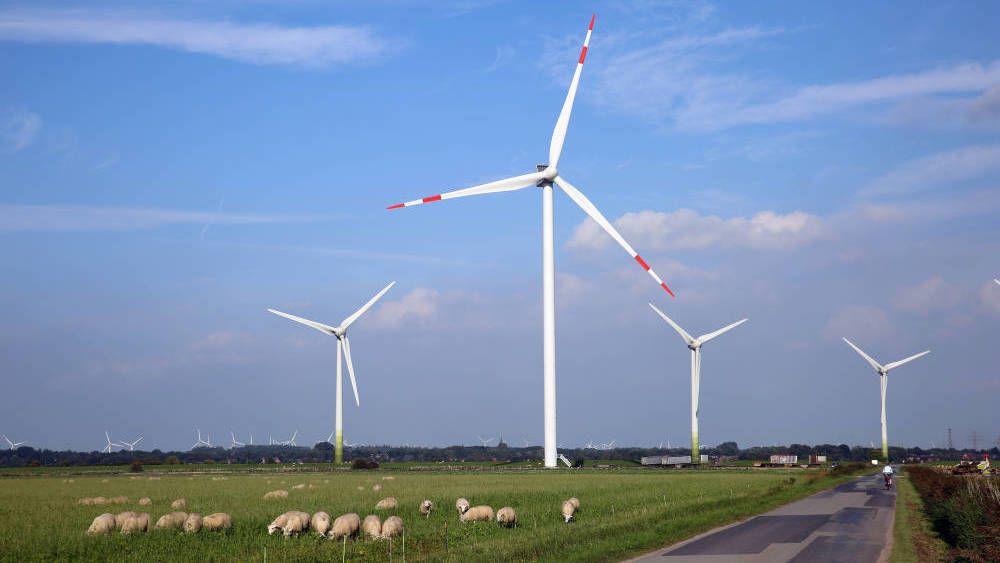 Vindkraftutbyggingen i Nord-Tyskland gjør at eierne av vindmøllene får penger for å skru av møllene når produksjonen er for høy.