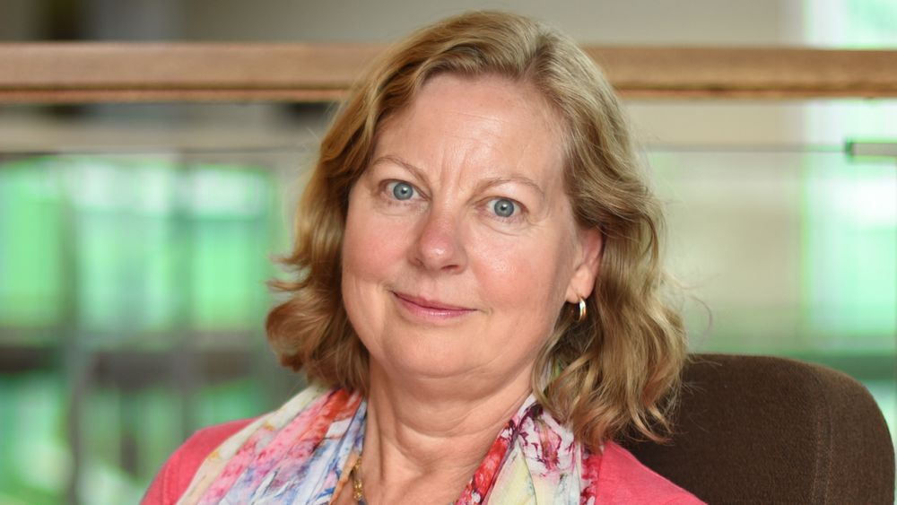 Skandinavia-sjef Berit Svendsen i Telenor ser antallet mobilkunder falle. Konkurransen i privatmarkedet får mye av skylda.