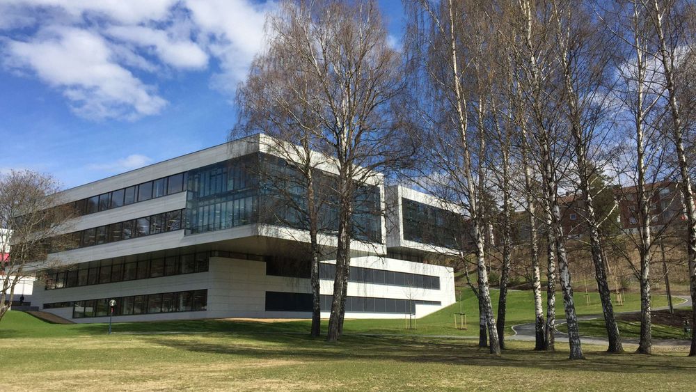 I DNV GL sine kontorlokaler på Høvik i Bærum er det ikke nødvendig å klatre oppover, for å gjøre utvikle karriereløpet sitt. 