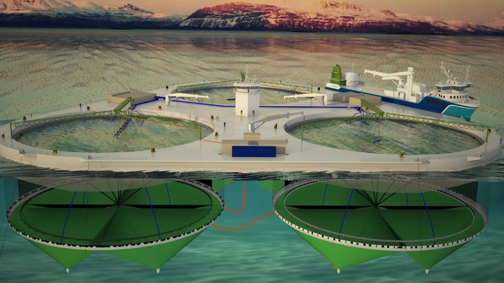  SØKNAD: Fjordmax er planlagt med en plattform med tre merder, hver på 200 meter i diameter. Lengde: 165 meter. Bredde: 153 meter. Integrete systemer for fôr, oppsamling av slam, død fisk samt pumping av sjøvann og tilsetting av oksygen