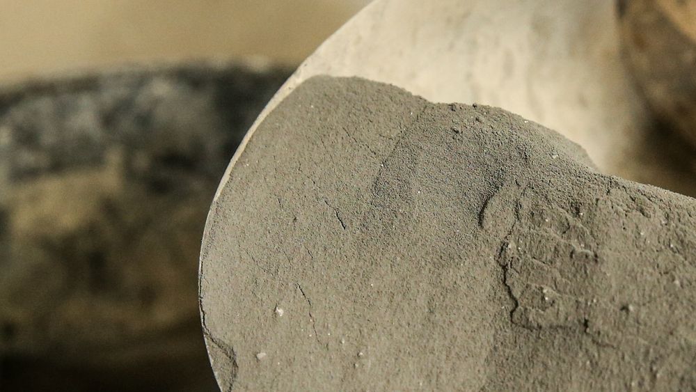 I pulverform: Slik ser microsilica i pulverform ut. Det som tidligere forsvant ut fabrikkpipen som sjenerende støv, er nå millionbutikk.