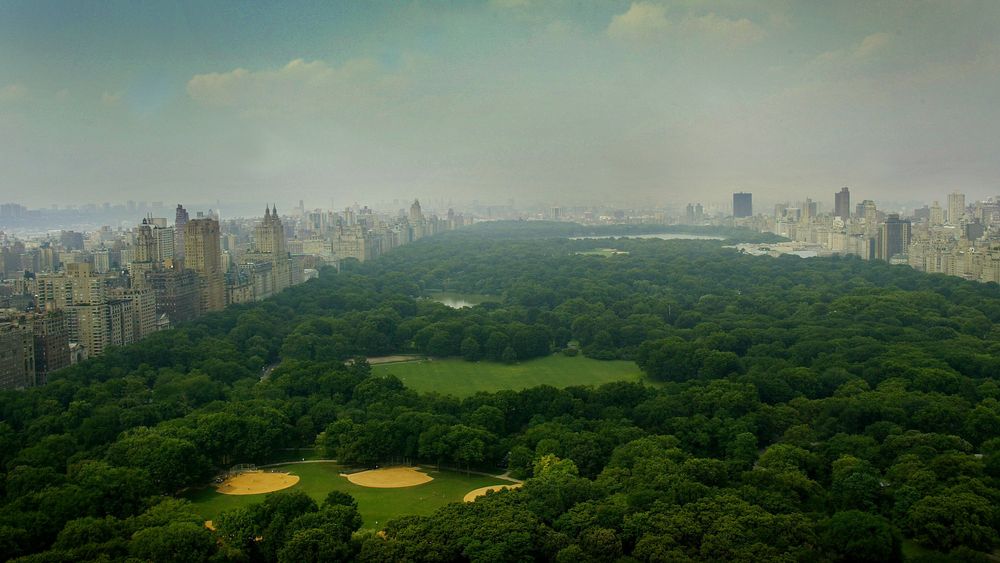 New Yorks Central Park er en av de mest kjente parkene i verden. Parken gjør det mulig for en rekke dyrearter å leve i et meget urbant område.