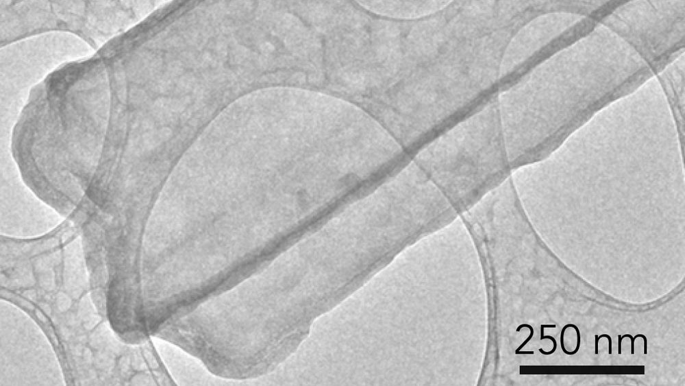 Bildet viser en dendritt av litiummetall, tatt med kryoelektronmikroskopi. Her vises det at dendritten er en sekssidet krystallings nanotråd med tydelig definerte fasetter.
