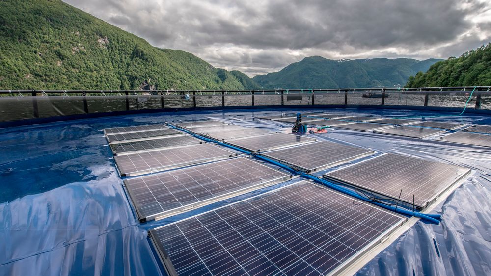 Her fra Ocean Sun og Lerøys prosjekt med solceller på oppdrettsanlegg. Ocean Sun-sjef Børge Bjørneklett mener prosjektet var fornuftig, men at det er bedre å bygge ut solenergi på steder med mye sol.