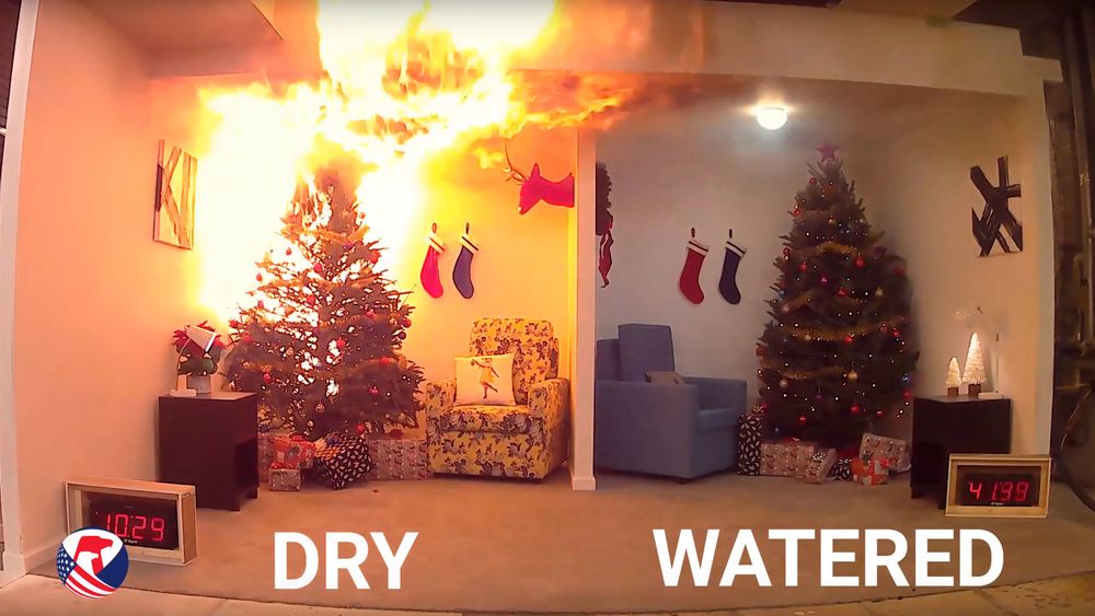 Er juletreet ikke vannet, kan det brenne mye lettere.