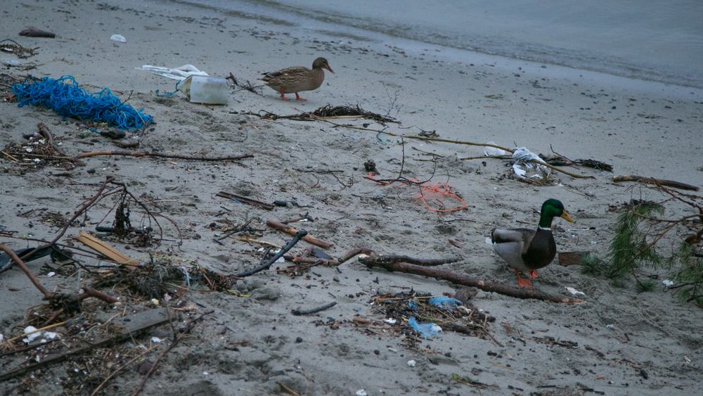 Uidentifiserbar plast topper funnlistene. For øvrig kommer tau, isopor, drikkeflasker og drikkebokser høyt opp på funnlisten langs kysten.