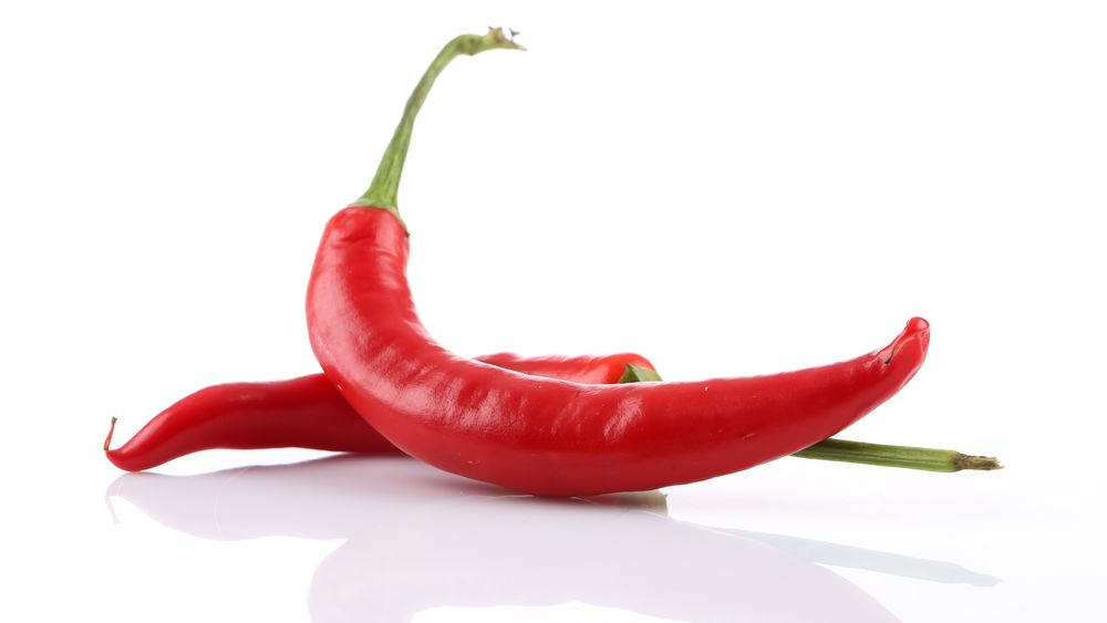 Chili mobil drømmer om å bli stor og sterk. I takt med voksende ambisjoner vokser også staben.