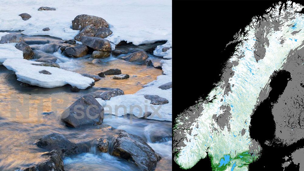 Satellittbildet viser snødekningsgrad i prosent basert på Sentinel-3-data 2. april. Fargeskalaen går gradvis fra hvit (100 prosent snødekt) til grønn (snøfritt). Områder med skyer er markert med grå farge, innsjøer er blå og hav er svart. 