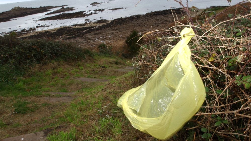 Ulike nedbrytbare plastposer brytes ned til ulike bestanddeler.