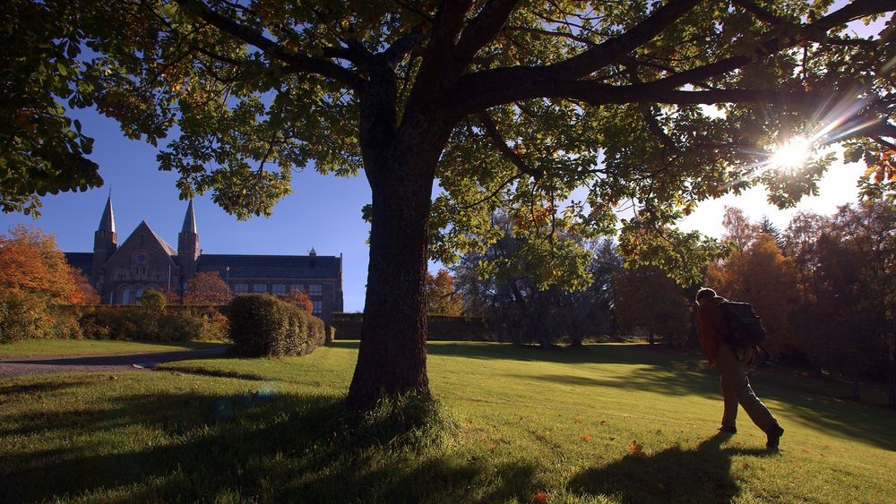 Norges teknisk-naturvitenskapelige universitet (NTNU) slet lenge med nedetid og ustabilt epostsystem for sine 8500 ansatte. En ekspert klarte til slutt å finne årsaken.