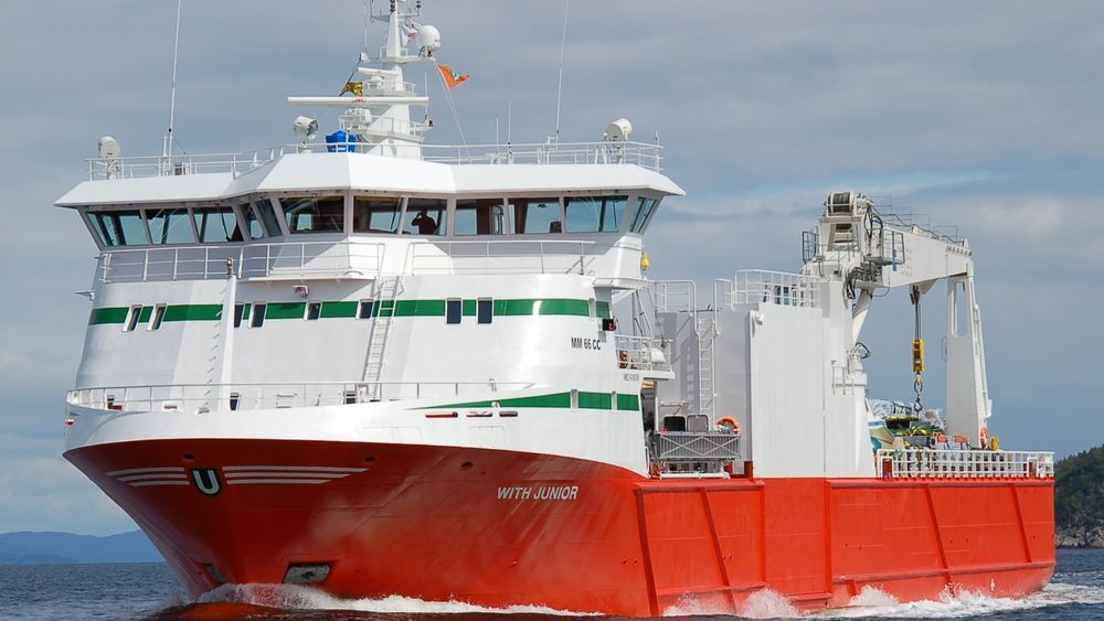 With Junior er ett av skipene i flåten til Egil Ulvan Rederi. Skipet er bygget i 2009 ved Moen Slip. Skipet er 66,7 meter langt og stikker 5,25 meter dypt. Det har plass til 12 frysecontainere, derav tre under dekk.