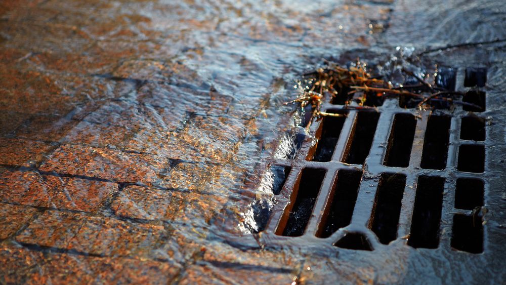 Rister som dette tar unna regnvannet, også kjent som overvann, langs gater, veier og parker. Men visste du hva som skjer med vannet rett under kummen? 