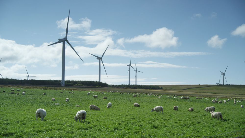 Statkraft kjøper opp vindkraft i Irland og Storbritannia. Selskapet planlegger omfattende investeringer i vind og sol de neste sju årene. Bildet er fra Baillie vindmøllepark i Skottland som Statkraft eier 40 prosent av.