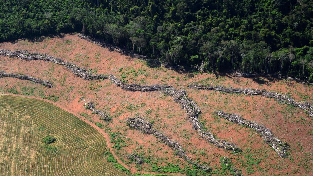 Et område med ulovlig hogst i delstaten Pará i Brasil. Bildet ble offentliggjort av brasilianske myndigheter i 2014.