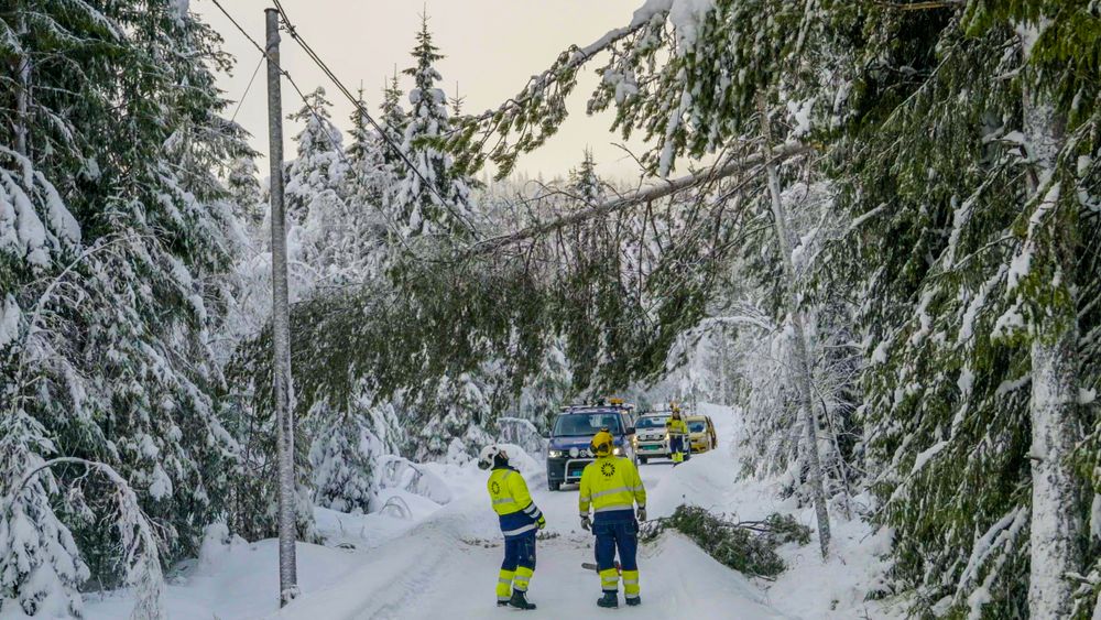 Mye snø har gjort 2018 til et kostbart år for Eidsiva Nett. Bare i januar hadde de forsyningsproblemer tilsvarende 30 millioner kroner. Nå håper de at knusing av kart- og vedlikeholdsdata kan hjelpe dem å forebygge linjebrudd på grunn av trepåfall. 