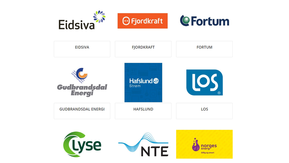 Norge har 124 nettselskaper og 113 strømselskaper. Mange av dem har samme navn og logo. Det forvirrer kundene, ifølge NVE.