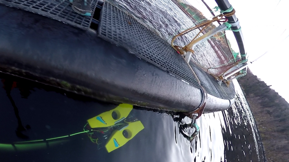 Innaskjærs dykking er blant de farligste yrkene i Norge. Nå overtar ROV oppgavene i større grad.