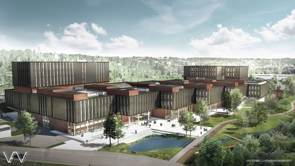 Skisse av det nye universitetsbygget, Livsvitenskapsbygget, som skal bygges i Oslo.