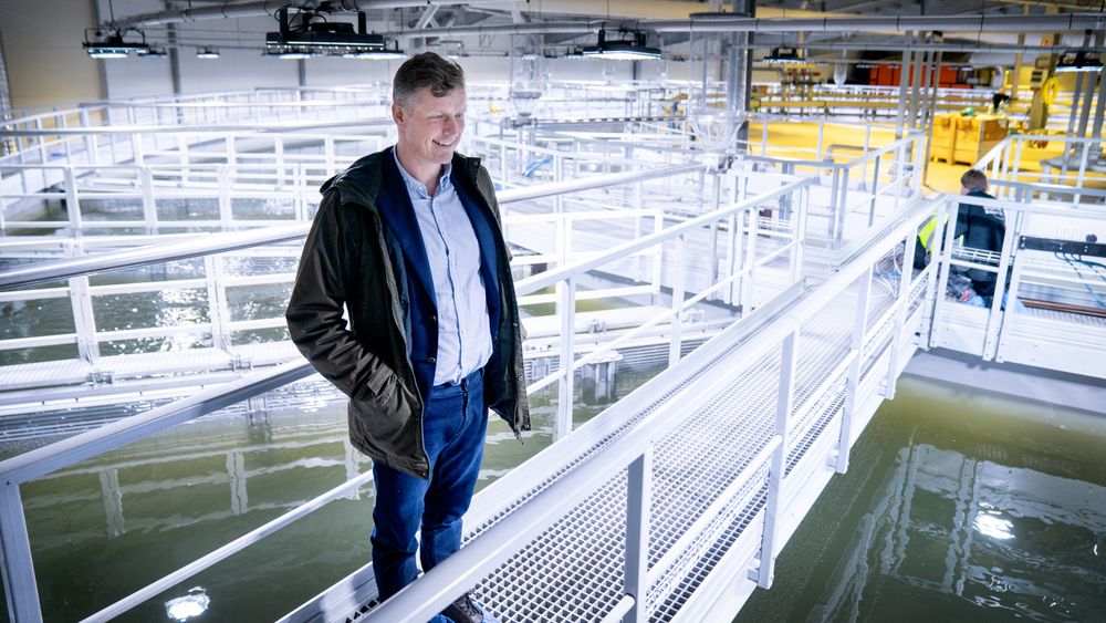 Bernt-Olav Røttingsnes, daglig leder i Fredrikstad Seafoods, er klar til å sette ut den første smolten.