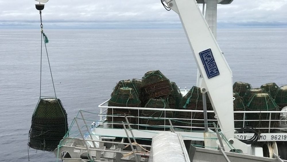 Fiskeridirektoratet har hentet opp tapte teiner og tau fra Barentshavet med leiefartøyet Liafjord.