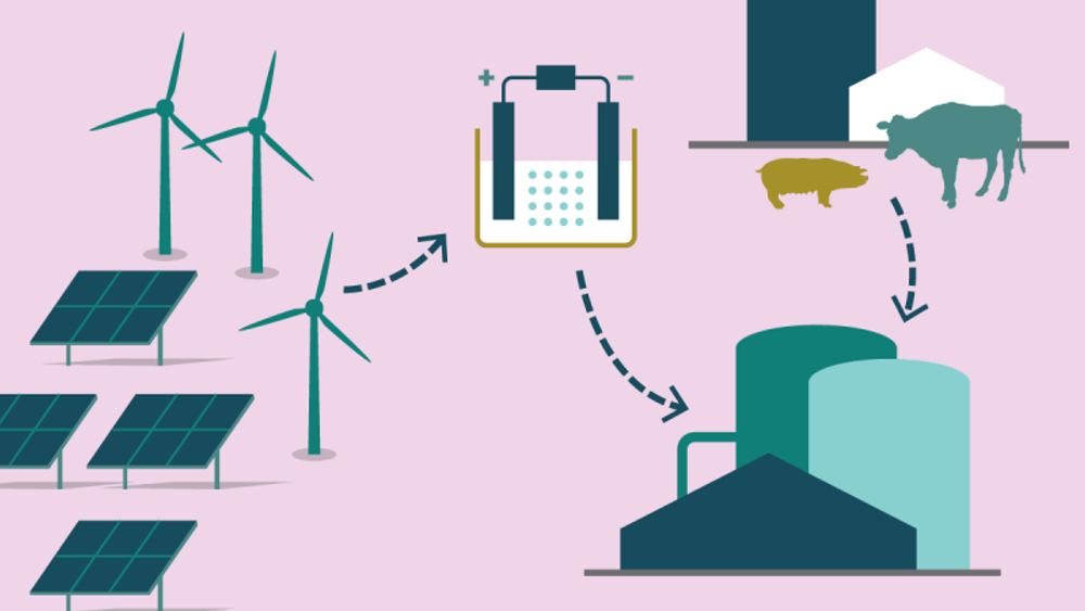 Produksjonen av eFuels bruker strøm fra vindmøller og solceller, i tillegg til en karbonkilde, for eksempel biogass. Geografisk plassering har betydning for strøm- og transportpris, og dermed prisen for det ferdige drivstoffet. Siden prosessene gir overskuddsvarme, vil det også ha betydning om anlegget ligger nært et fjernvarmeanlegg som kan bruke varmen.