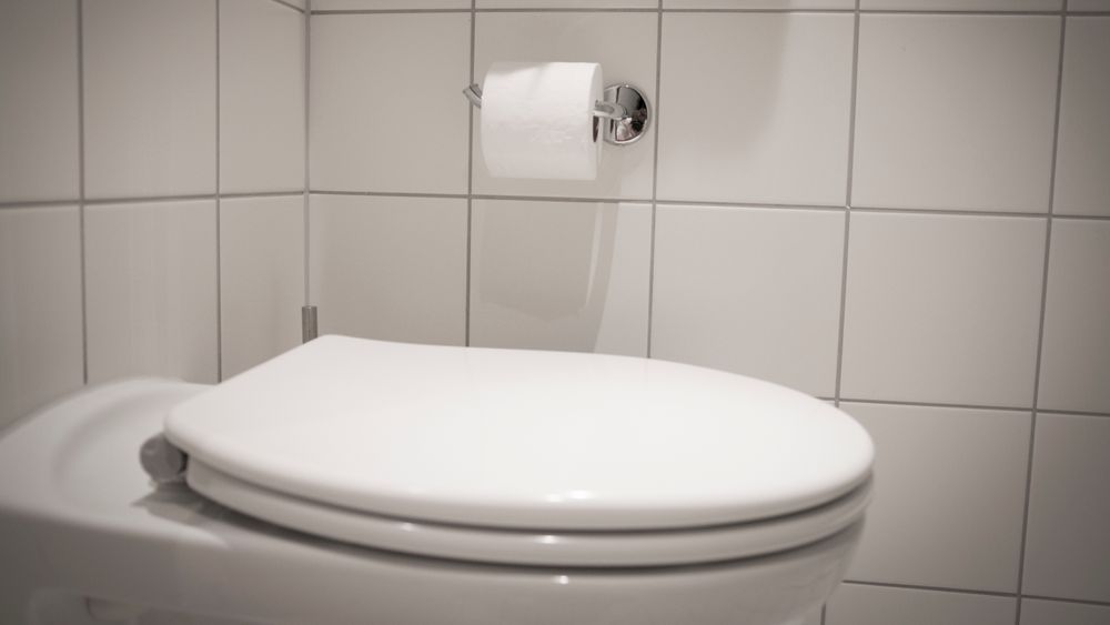 Toaletter bruker mye vann. Forskere i USA har utviklet en spray som danner et glatt belegg. Det redusere vannbruken
