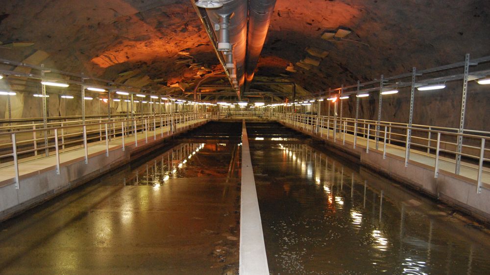 Bekkelaget renseanlegg i Oslo er et av landets største renseanlegg for kloakk. Kloakken her kan bli en verdifull kilde til fosfor i fremtiden.