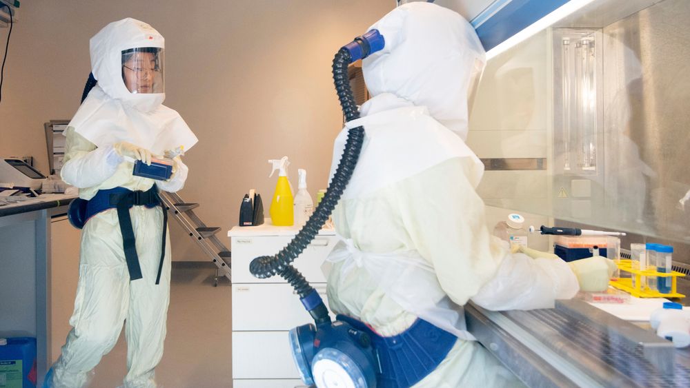 Koronavirusforskere på et laboratorium ved Helmholtz-senteret for infeksjonsforskning i Brunswick i Tyskland.