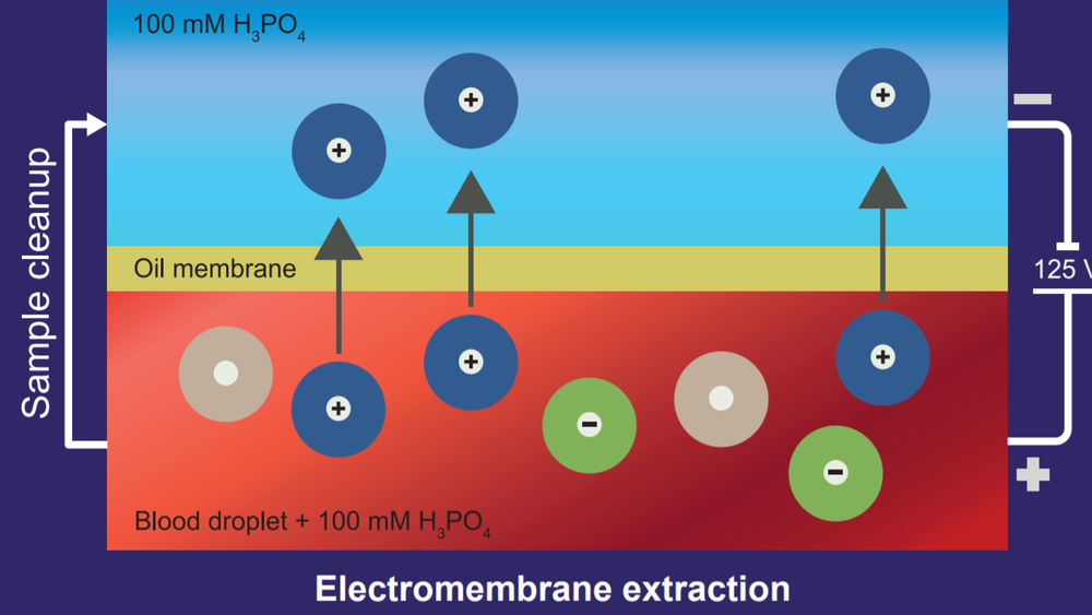 Elektromembranekstraksjon kan beskrives som elektroforese over en tynn oljemembran. Elektroforese er en viktig metode for å skille ulike kjemiske og biokjemiske stoffer fra hverandre. 