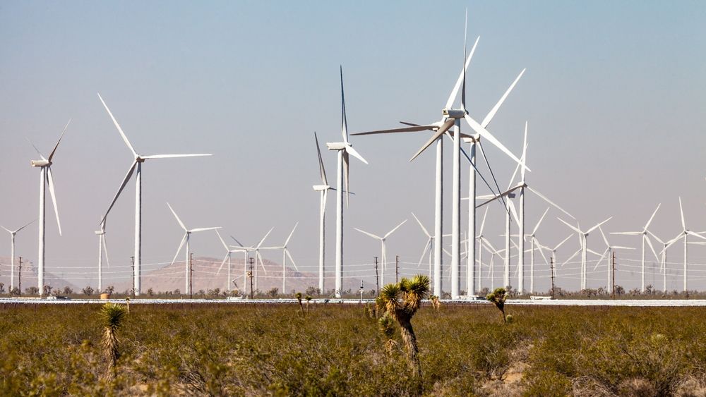 Vindkraft var fredag en større kilde til elektrisitet i USA enn vannkraft, ifølge tall fra IEA, og utgjør nå 10 prosent av den totale strømproduksjonen. Bildet er fra en vindpark i Mojave-ørkenen i California.