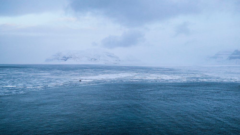 Nye værdata fra Svalbard viser at tallet på kalde dager har blitt halvert siden 90-tallet.