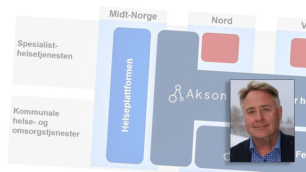 Vi trenger et fungerende økosystem, ikke en masterplan fra direktoratet, skriver professor Bendik Bygstad. 