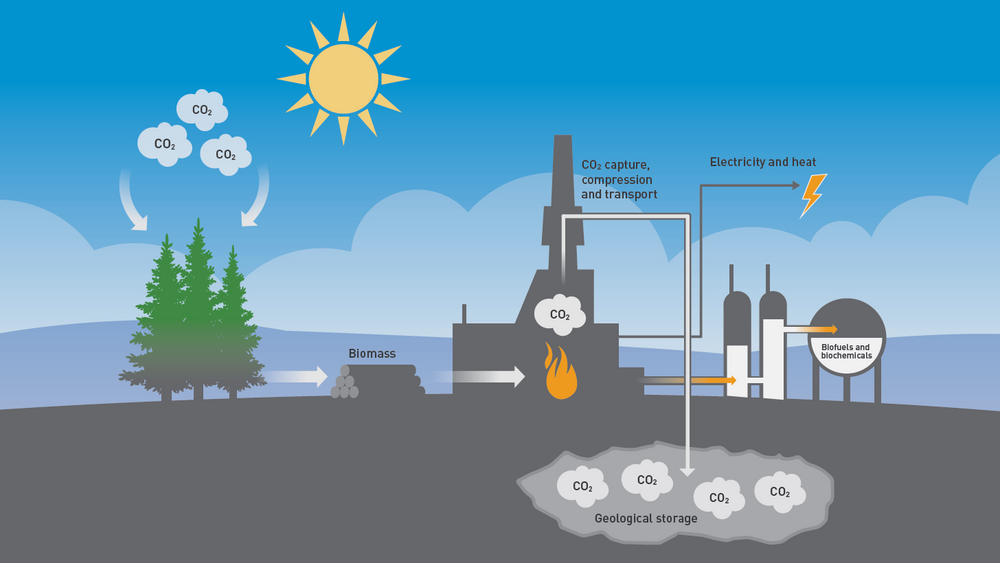 Denne prinsippskissen viser fangst og lagring av CO2 fra biomasse – en såkalt klimapositiv løsning.