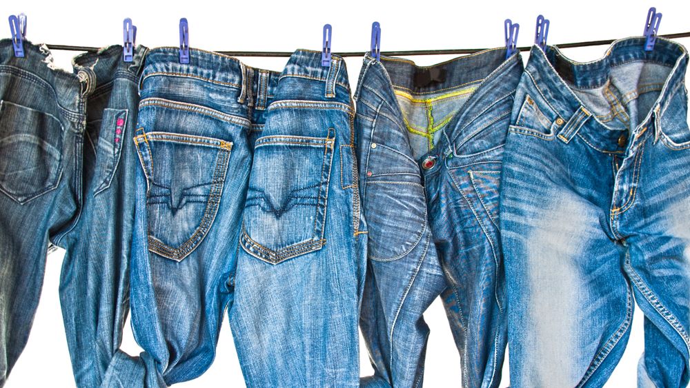 Some blue jeansdrying on washing line isolated on white