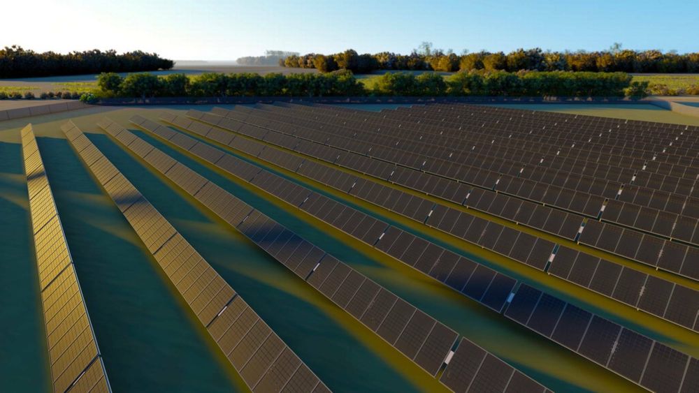 GreenGo jobber med Skandinavias største solcellepark, som vil dekke et område på 250 fotballbaner når det står ferdig – bygget helt uten subsidier.