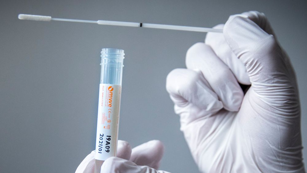 Omfattende testing gjør at det oppdages stadig nye varianter av koronaviruset i Norge.