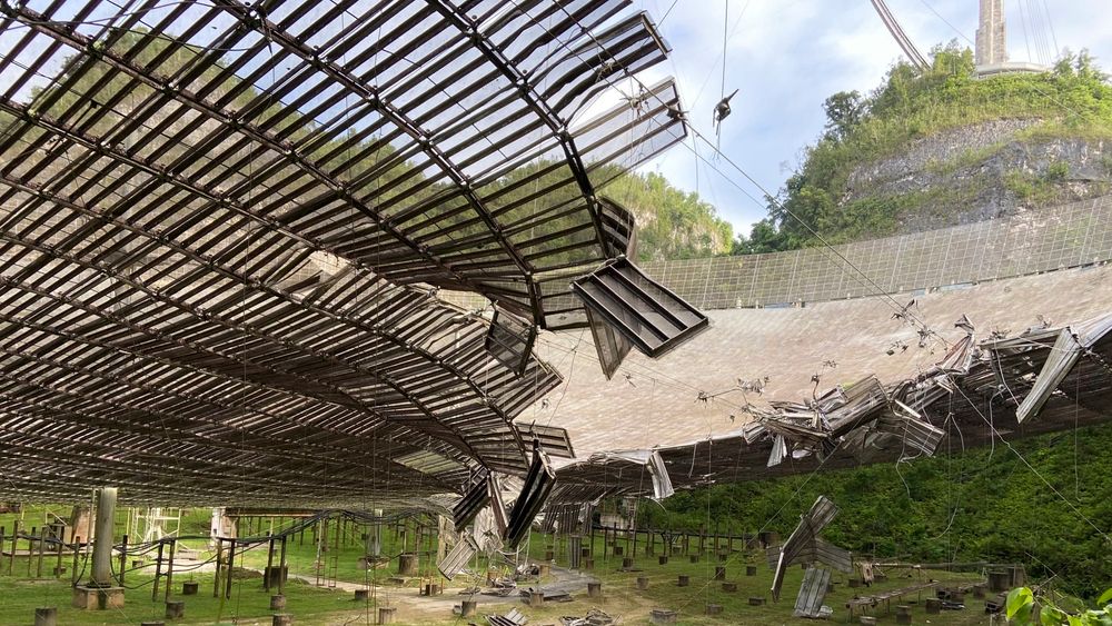 Et bilde tatt i august viser skadene en ødelagt kabel har gjort på antennen på Arecibo-observatoriet på Puerto Rico. Nå står radioteleskopet i fare for å kollapse.